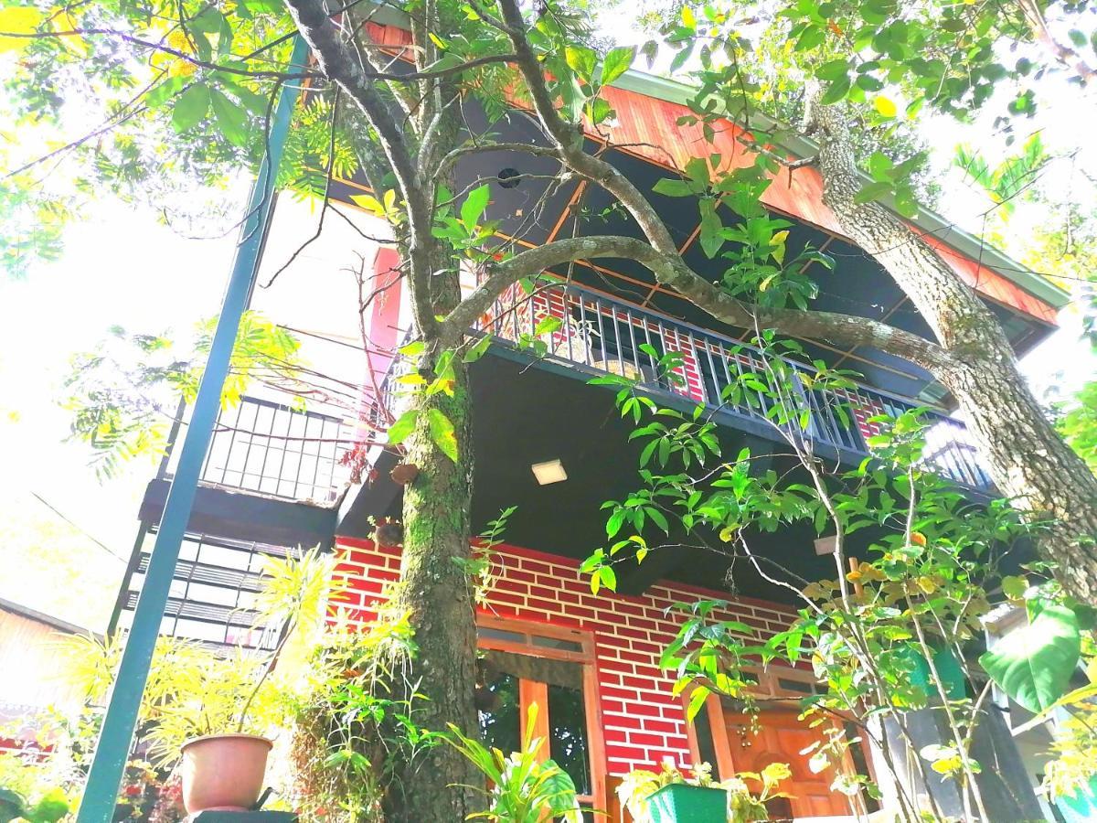 Summer Villa Ella Ngoại thất bức ảnh